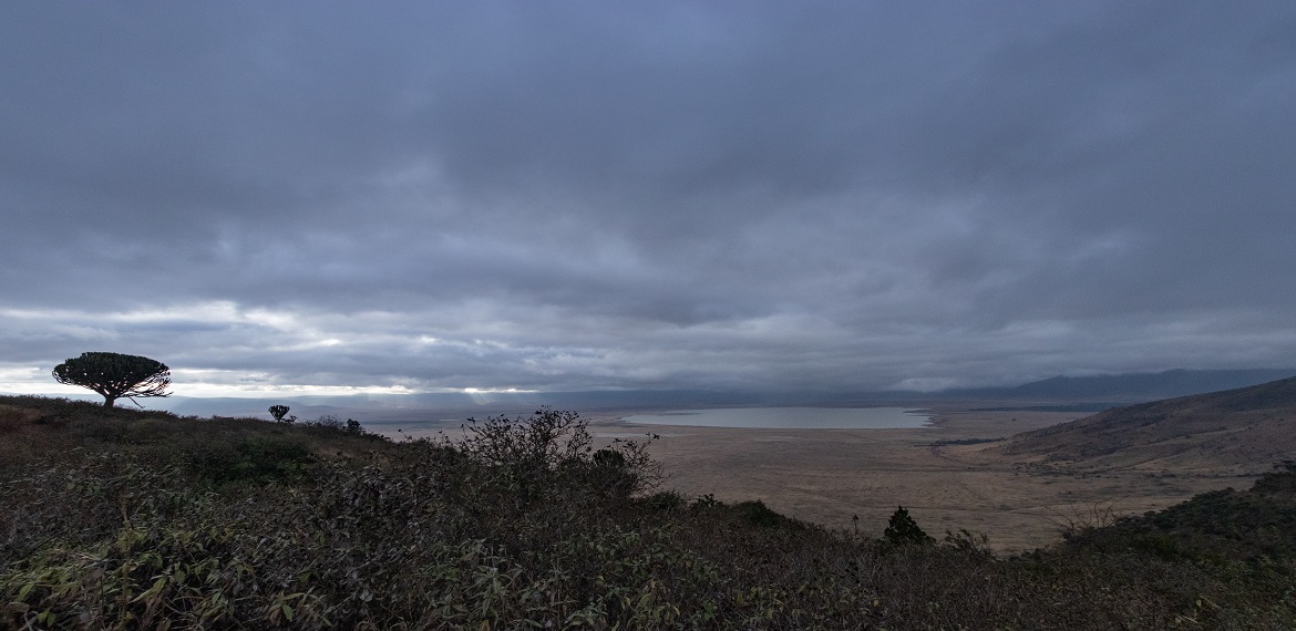 1 Day Kilimanjaro MARANGU Hike