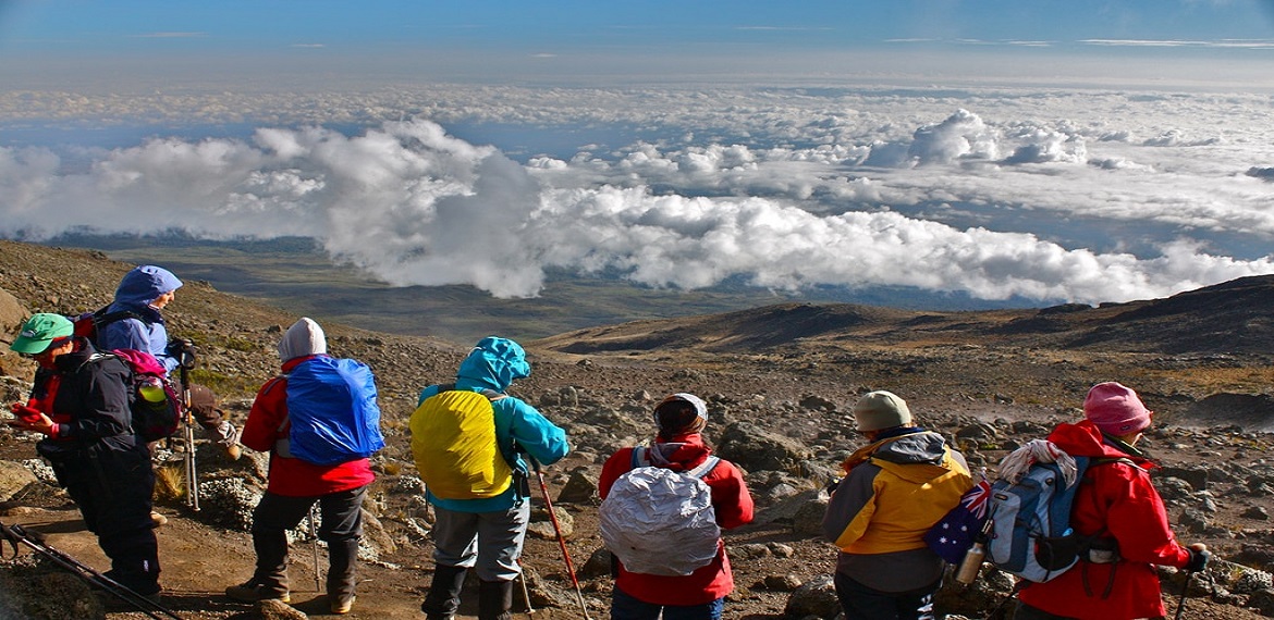 7 Days Rongai Route Kilimanjaro