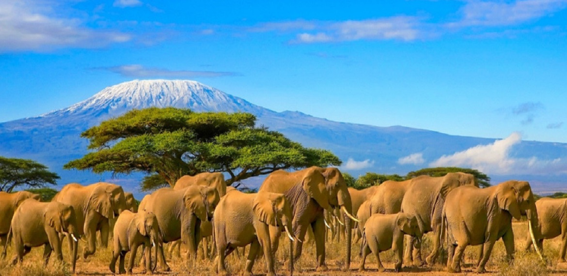 9 Days LEMOSHO route Kilimanjaro